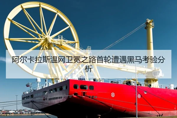 a-er-ka-la-si-wen-wang-wei-mian-zhi-lu-shou-lun-zao-yu-hei-ma-kao-yan-fen-xi-2-366.jpg