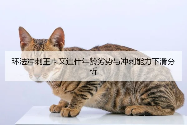 huan-fa-chong-ci-wang-ka-wen-di-shen-nian-ling-lie-shi-yu-chong-ci-neng-li-xia-hua-fen-xi-2-611.jpg